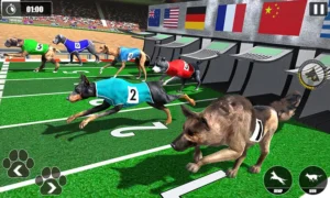 Hướng Dẫn Chơi Game Nhanh Đua Chó Tại 33WIN Hiệu Quả Nhất