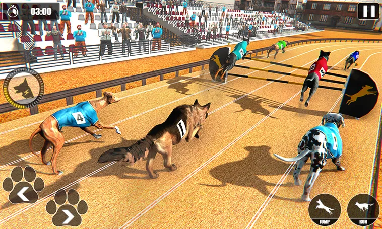 Hướng Dẫn Chơi Game Nhanh Đua Chó Tại 33WIN Hiệu Quả Nhất 2 Hướng Dẫn Chơi Game Nhanh Đua Chó Tại 33WIN Hiệu Quả Nhất