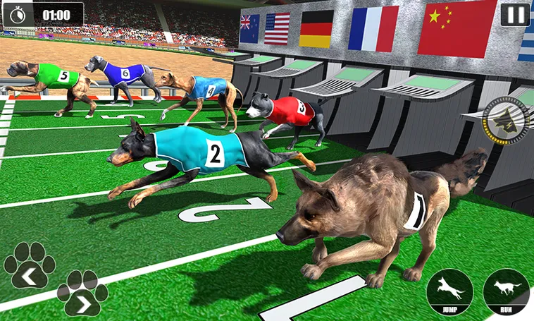 Hướng Dẫn Chơi Game Nhanh Đua Chó Tại 33WIN Hiệu Quả Nhất